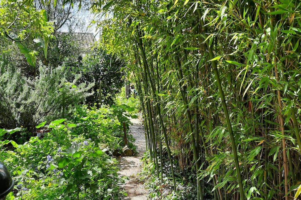 Villa D'Artiste Comprenant 2 Chambres Avec Salles De Bain Privatives Arcachon Kültér fotó